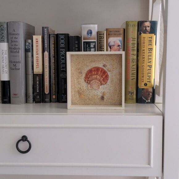 Beachy Shell Shadow Box Wall Art - Picture 1 of 2